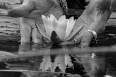 Fine art photograph of a hand with en rings focused on light and flower, composition, and a moment of stillness.