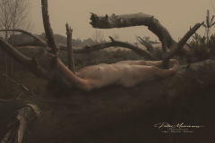 Rooted, Fine art photograph of a nude figure resting on a fallen tree in a natural landscape, expressing the connection between the human body and nature.