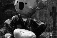 street photography fine art street photography, black and white street, candid photography, urban photography, everyday life, human moments , visual observation,